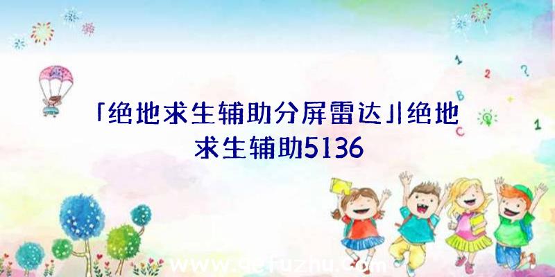 「绝地求生辅助分屏雷达」|绝地求生辅助5136